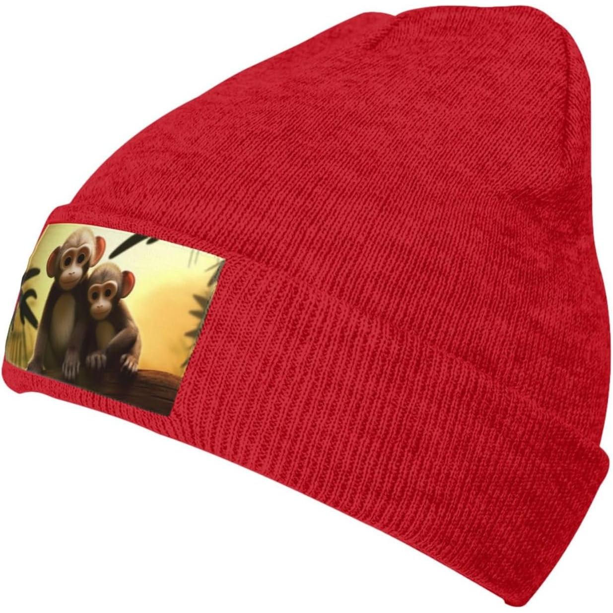 Bonnet pour hommes chapeaux d' - Beanie Cuffed Knit avis et prix